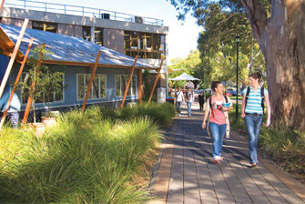 Students walking