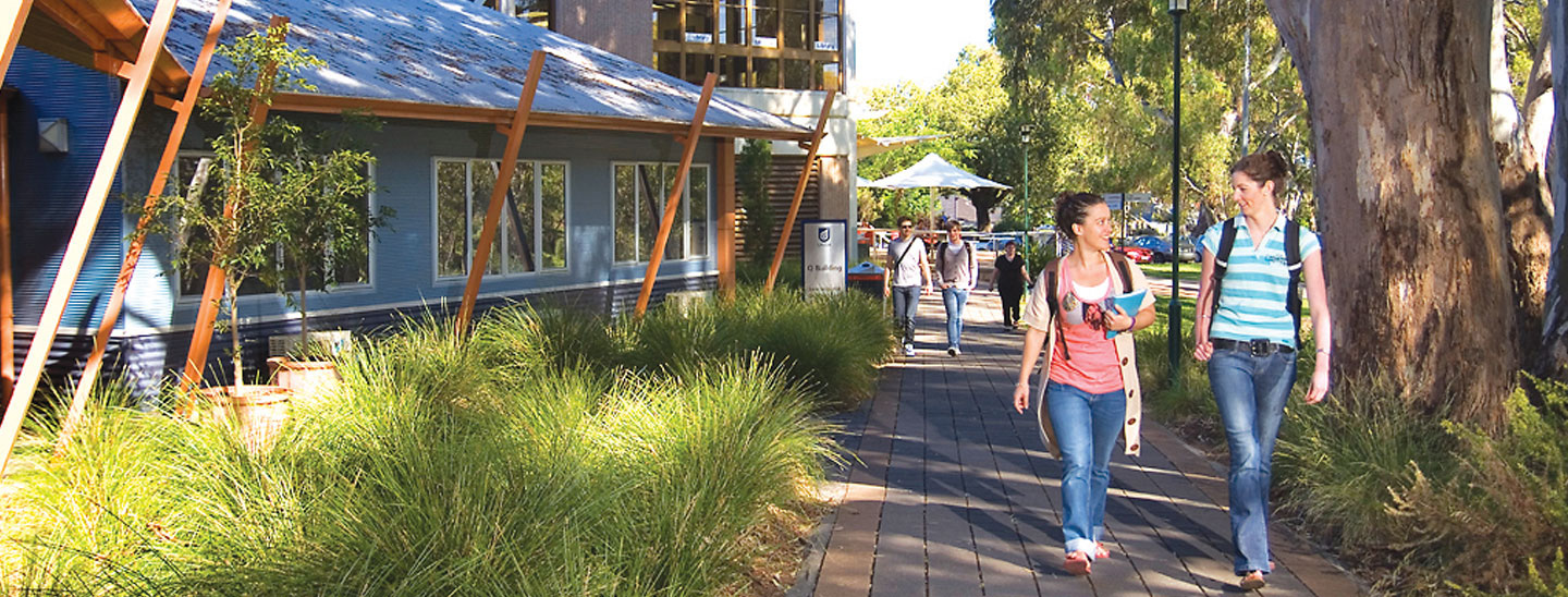 Students walking talking